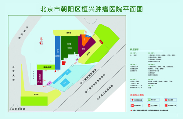 a黄操死我的逼逼逼逼北京市朝阳区桓兴肿瘤医院平面图